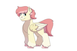 Size: 1280x854 | Tagged: safe, artist:itstechtock, oc, oc only, oc:luminaire, pegasus, pony, magical lesbian spawn, male, offspring, parent:coco pommel, parent:kerfuffle, simple background, solo, stallion, transparent background