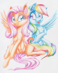 Size: 2362x2980 | Tagged: safe, artist:galinn-arts, fluttershy, rainbow dash, pegasus, pony, g4, belly button, colorful, duo, ear fluff, female, happy, high res, looking at each other, mare, one wing out, open mouth, pencil drawing, simple background, sitting, smiling, spread legs, spreading, teeth, traditional art, white background, wings