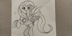 Size: 4608x2304 | Tagged: safe, artist:shelltoon, fluttershy, pegasus, pony, g4, ballpoint pen, cute, female, flying, photo, sketch, solo, traditional art, yay