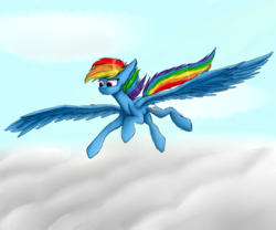 Size: 6000x5000 | Tagged: safe, artist:moonlight37dusk, rainbow dash, pegasus, pony, g4, cloud, cutie mark, female, floppy ears, flying, large wings, mare, solo, speedpaint available, wings