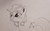 Size: 2704x1698 | Tagged: safe, artist:polar_storm, applejack, earth pony, pony, g4, female, freckles, goofy, mare, monochrome, simple background, solo, traditional art, white background, younger