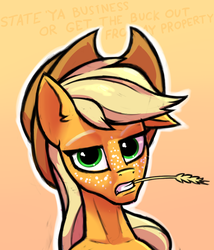Size: 855x1000 | Tagged: safe, artist:hc0, applejack, earth pony, semi-anthro, g4, applejack is not amused, female, freckles, frown, hay stalk, looking at you, quick sketch, serious, serious face, solo, straw in mouth, talking to viewer, text, unamused