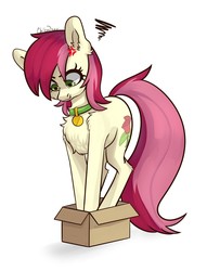 Size: 1050x1377 | Tagged: safe, artist:chibadeer, roseluck, earth pony, pony, g4, angry, behaving like a cat, box, chest fluff, collar, commissioner:doom9454, cute, ear fluff, fluffy, if i fits i sits, pet tag, pony in a box, pony pet, rosepet, simple background, white background