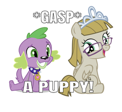 Size: 750x688 | Tagged: artist needed, safe, edit, editor:undeadponysoldier, spike, zippoorwhill, dog, pegasus, pony, equestria girls, g4, adorable face, crack shipping, cute, dialogue, female, foal, gasp, glasses, happy, jewelry, male, shipping, simple background, sitting, smiling, spike the dog, spikoorwhill, straight, text, tiara, white background, zippoorbetes