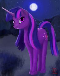 Size: 3130x3999 | Tagged: safe, artist:greenbrothersart, twilight sparkle, pony, unicorn, g4, cutie mark, eye reflection, female, high res, looking at you, mare, moon, night, smiling, solo, stars, unicorn twilight
