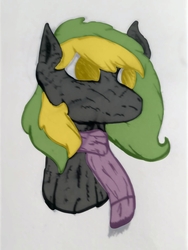 Size: 1170x1559 | Tagged: safe, artist:gasolinedeath, oc, oc only, oc:vermont black, earth pony, pony, clothes, male, scarf, solo, stallion