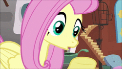 Size: 1280x720 | Tagged: safe, screencap, angel bunny, fluttershy, pegasus, pony, g4, putting your hoof down, animated, female, mare, offscreen character, paws, slap, sound, webm