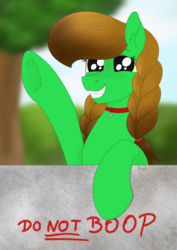 Size: 1955x2755 | Tagged: safe, artist:dyonys, derpibooru exclusive, oc, oc:lucky brush, earth pony, pony, big eyes, boop, braid, collar, dilated pupils, dog tags, female, freckles, mare, raised hoof, smiling, text, wall