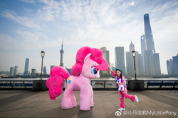 Size: 1024x683 | Tagged: safe, pinkie pie, rarity, human, g4, official, china, irl, irl human, photo, plushie, shanghai