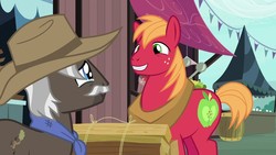 Size: 1280x720 | Tagged: safe, screencap, big macintosh, burnt oak, earth pony, pony, g4, the perfect pear, cowboy hat, crying, cutie mark, firewood, hat, male, smiling, stallion