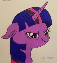 Size: 2010x2201 | Tagged: safe, artist:polar_storm, twilight sparkle, alicorn, pony, g4, ears back, female, high res, palindrome get, solo, traditional art, twilight sparkle (alicorn)