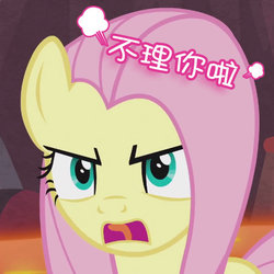 Size: 522x522 | Tagged: safe, edit, edited screencap, screencap, fluttershy, pony, g4, sweet and smoky, angry, china, chinese, cropped, female, solo