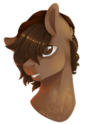 Size: 928x1326 | Tagged: safe, artist:shady-bush, oc, oc only, oc:grave robber, pony, bust, male, portrait, simple background, solo, stallion, transparent background