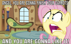 Size: 641x395 | Tagged: artist needed, safe, edit, editor:undeadponysoldier, fluttershy, pegasus, pony, g4, angry, caption, dying for pie, female, furious, image macro, implied angel bunny, mare, meme, open mouth, solo, spongebob squarepants, text, yelling