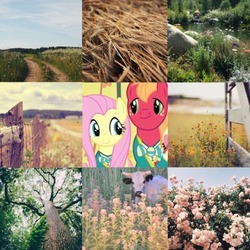 Size: 500x500 | Tagged: safe, big macintosh, fluttershy, cow, pony, g4, female, field, flower, irl, male, moodboard, photo, ship:fluttermac, shipping, straight