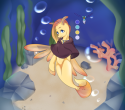Size: 1956x1720 | Tagged: safe, artist:circle edward, oc, oc only, oc:gill, hippogriff, seapony (g4), bubble, clothes, coral, dorsal fin, fin, fin wings, fins, fish tail, flowing mane, flowing tail, jewelry, necklace, ocean, reference sheet, rock, seaweed, smiling, solo, swimming, tail, the daughter of zarz, underwater, water, wings, zarz