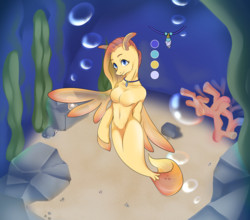 Size: 1956x1720 | Tagged: safe, artist:circle edward, oc, oc only, oc:gill, hippogriff, seapony (g4), semi-anthro, arm hooves, breasts, bubble, coral, dorsal fin, featureless breasts, female, fin, fin wings, fins, fish tail, flowing mane, flowing tail, jewelry, necklace, ocean, reference sheet, rock, seaweed, smiling, solo, swimming, tail, the daughter of zarz, underwater, water, wings, zarz