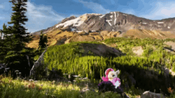 Size: 480x270 | Tagged: safe, artist:natureshy, artist:p0w3rporco, fluttershy, bat pony, pony, g4, animated, avalanche, bat ponified, equestria: into the wild, female, flower, flutterbat, forest, gif, irl, meadow, mountain, nature, photo, plushie, ponies around the world, race swap, scenery, time-lapse, volcano