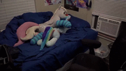 Size: 1280x720 | Tagged: safe, artist:littleshyfim, derpy hooves, fluttershy, rainbow dash, pegasus, pony, g4, adoracreepy, animated, bed, clothes, creepy, cute, female, implied derpydash, irl, living object, looking at you, photo, plushie, poster, realistic, socks, sound, story in the comments, striped socks, webm