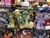 Size: 4032x3024 | Tagged: safe, photographer:undeadponysoldier, doctor whooves, time turner, twilight sparkle, alicorn, earth pony, goomba, litten, pony, yoshi, g4, female, game store, irl, male, mare, merchandise, necktie, photo, plushie, pokémon, stallion, super mario bros., the game father, toy bonnie, twilight sparkle (alicorn)