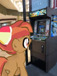 Size: 3024x4032 | Tagged: safe, gameloft, photographer:undeadponysoldier, button mash, earth pony, pony, g4, arcade game, arcade machine, augmented reality, colt, irl, liquid button, male, mall, pac-man, photo, ponies in real life, sky shark, solo, that pony sure does love computer games, the game father