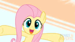 Size: 1280x720 | Tagged: safe, artist:reverse studios, part of a set, fluttershy, pony, g4, :3, :d, animated, cute, daaaaaaaaaaaw, female, happy, hnnng, looking at you, mare, ponies in reverse is trying to murder us, shyabetes, solo, weapons-grade cute, wings
