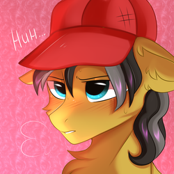 Size: 3000x3000 | Tagged: source needed, safe, artist:pesty_skillengton, oc, oc only, oc:small block, pegasus, pony, bust, hat, high res, portrait, sigh, solo