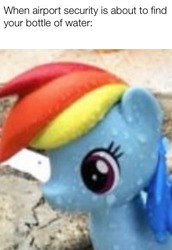 Size: 594x865 | Tagged: safe, rainbow dash, pony, g4, irl, meme, photo, solo, sweat, sweating profusely, toy