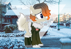 Size: 1600x1097 | Tagged: safe, artist:esgest, oc, oc only, oc:snowslide, earth pony, pony, blank flank, blaze (coat marking), boots, bush, canada, canadian, canadian flag, car, clothes, coat markings, facial markings, female, grass, hair over one eye, jacket, mare, markings, parka, shoes, snow, solo, street