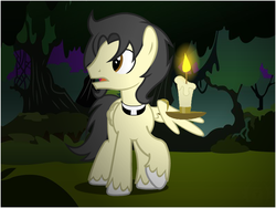 Size: 800x600 | Tagged: safe, artist:flash equestria photography, oc, oc only, oc:sable quill, pegasus, pony, black mane, brown eyes, candle, clerical collar, everfree forest, fanfic in the description, forest, night, open mouth, outdoors, priest, show accurate, solo, wing hold