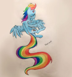 Size: 1782x1914 | Tagged: safe, artist:shaliwolf, rainbow dash, pegasus, pony, g4, female, flying, long tail, simple background, solo, traditional art