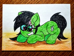 Size: 2560x1920 | Tagged: safe, artist:thebadbadger, oc, oc:prickly pears, pony, glasses