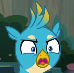 Size: 502x491 | Tagged: safe, screencap, gallus, griffon, g4, uprooted, angry, cropped, male, open mouth