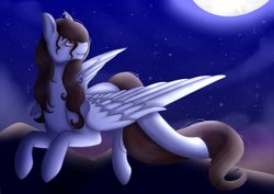 Size: 2048x1448 | Tagged: safe, artist:chaoticchimeraart, oc, oc only, oc:tail, pegasus, pony, female, flying, mare, night, no source available, solo