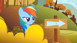Size: 1920x1080 | Tagged: safe, screencap, rainbow dash, pony, fall weather friends, g4, bedroom eyes, female, mare, sign, solo