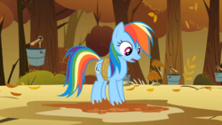 Size: 1920x1080 | Tagged: safe, screencap, rainbow dash, pony, fall weather friends, g4, bound wings, bucket, female, mare, solo, tree, wings