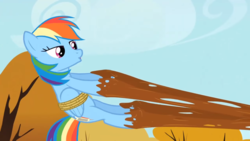 Size: 1920x1080 | Tagged: safe, screencap, rainbow dash, pony, fall weather friends, g4, bedroom eyes, bound wings, female, mare, solo, wings