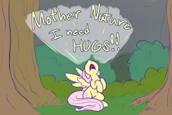 Size: 1800x1200 | Tagged: safe, artist:heir-of-rick, fluttershy, pegasus, pony, g4, dialogue, female, hug request, mare, nature, open mouth, solo