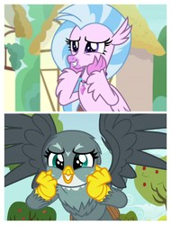 Size: 3106x4096 | Tagged: safe, edit, edited screencap, screencap, gabby, silverstream, griffon, hippogriff, g4, the fault in our cutie marks, uprooted, birb, cute, diastreamies, gabbybetes, same energy