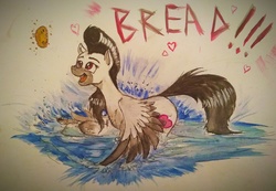 Size: 3709x2560 | Tagged: safe, artist:borsch-zebrovich, oc, oc only, pegasus, pony, behaving like a bird, bread, feeding, food, high res, pegaduck, solo, traditional art, water