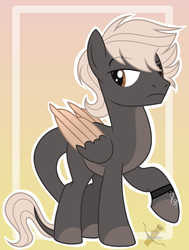 Size: 1398x1852 | Tagged: safe, artist:domina-venatricis, oc, oc only, oc:tlayolotl, pegasus, pony, male, solo, stallion, two toned wings, wings