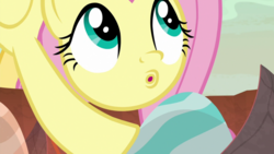 Size: 1920x1080 | Tagged: safe, screencap, fluttershy, pegasus, pony, g4, sweet and smoky, :o, cute, dragon egg, egg, faic, female, mare, open mouth, shyabetes, solo