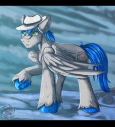 Size: 2000x2200 | Tagged: safe, artist:fkk, oc, oc only, oc:record melodie, pegasus, pony, chest fluff, colored pupils, ear fluff, fedora, frog (hoof), gift art, hat, high res, male, raised hoof, solo, spread wings, stallion, underhoof, unshorn fetlocks, wings