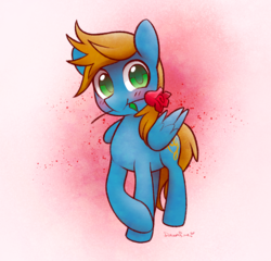 Size: 1280x1228 | Tagged: safe, artist:dawnfire, oc, oc only, oc:swift crescendo, pegasus, pony, flower, flower in mouth, rose, rose in mouth, solo