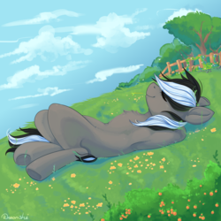 Size: 2000x2000 | Tagged: safe, artist:neonishe, oc, oc only, oc:kenn, hybrid, pony, skunk, skunk pony, armpits, fence, flower, grass, high res, male, scenery, solo, stallion, tree