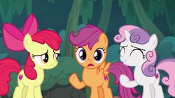 Size: 720x405 | Tagged: safe, screencap, apple bloom, scootaloo, sweetie belle, earth pony, pony, g4, the big mac question, cutie mark crusaders