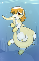 Size: 2250x3500 | Tagged: safe, artist:biepbot, oc, oc only, oc:orange cream, original species, shark pony, biting, cute, high res, looking at you, male, nom, solo, tail bite, underwater