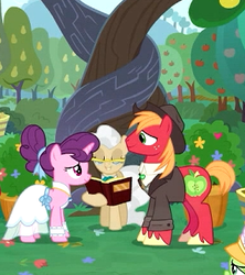 Size: 288x324 | Tagged: safe, screencap, big macintosh, granny smith, mayor mare, sugar belle, earth pony, pony, unicorn, g4, the big mac question, apple tree, book, clothes, cropped, discussion in the comments, dress, female, freckles, hat, intertwined trees, like father like son, like parent like child, male, mare, marriage, pear tree, ship:sugarmac, shipping, stallion, straight, tree, unshorn fetlocks, wedding, wedding dress