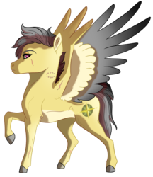 Size: 2591x3000 | Tagged: safe, artist:venommocity, daring do, pony, g4, female, high res, scar, solo, two toned wings, wings