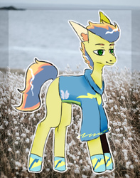 Size: 1700x2160 | Tagged: safe, artist:esgest, oc, oc only, oc:wonder apple, earth pony, pony, icey-verse, clothes, commission, ear piercing, earring, hoodie, jewelry, magical gay spawn, male, missing cutie mark, offspring, parent:braeburn, parent:soarin', parents:soarburn, piercing, snake bites, socks, solo, stallion, tattoo